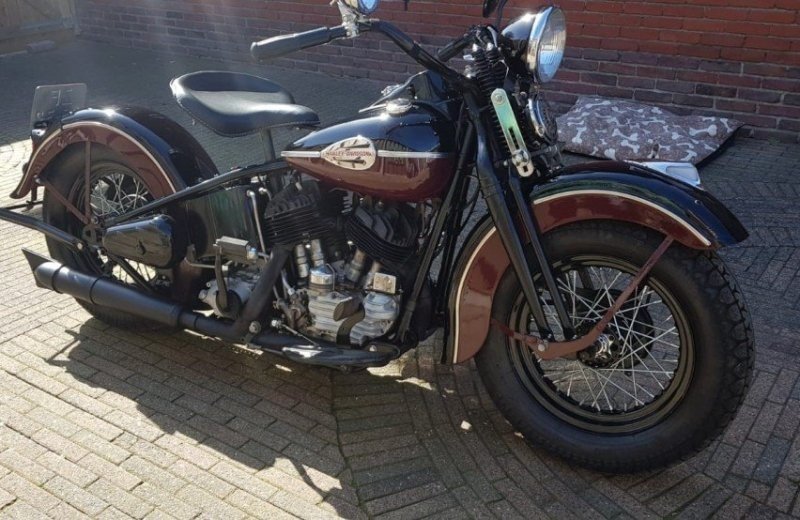 Harley davidson bruin